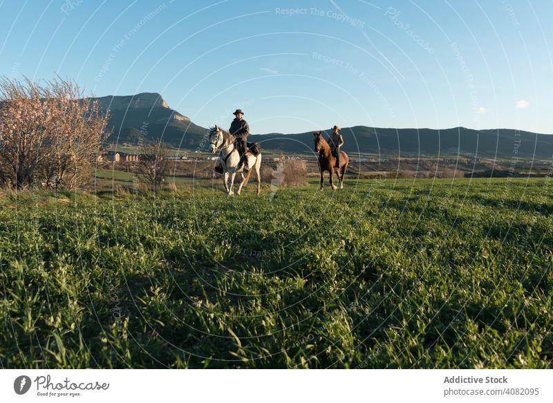 People on horses people riding high five ranch sunset sky evening man woman gesture sport horseback equestrian lifestyle leisure recreation domestic fun animal