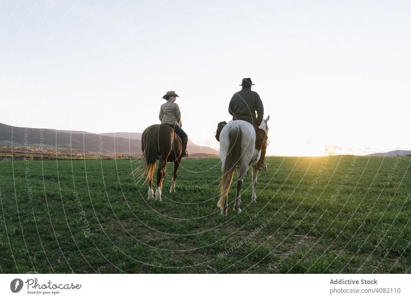 People on horses people riding high five ranch sunset sky evening man woman gesture sport horseback equestrian lifestyle leisure recreation domestic fun animal