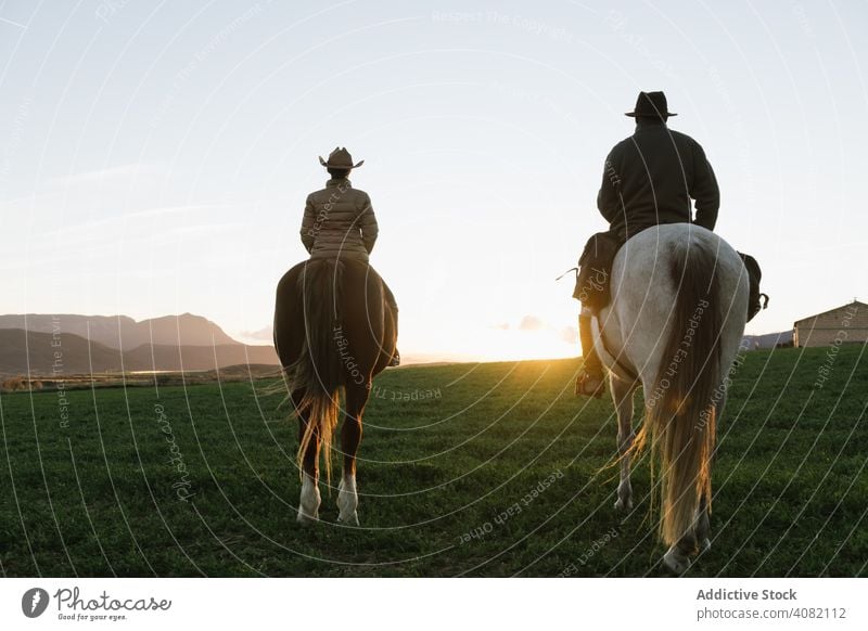 People on horses people riding high five ranch sunset sky evening man woman gesture sport horseback equestrian lifestyle leisure recreation domestic fun animal