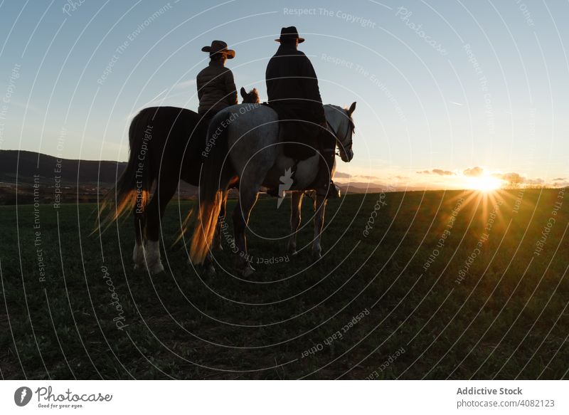 Man and woman riding horses beautiful joy fun professional recreation countryside farm dusk activity ranch lifestyle back view horizontal sunset horseback