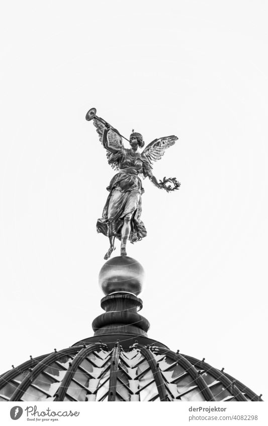 Dresden in winter: Angel on citrus press Worm's-eye view Deep depth of field Sunlight Light (Natural Phenomenon) Contrast Shadow Day Copy Space top