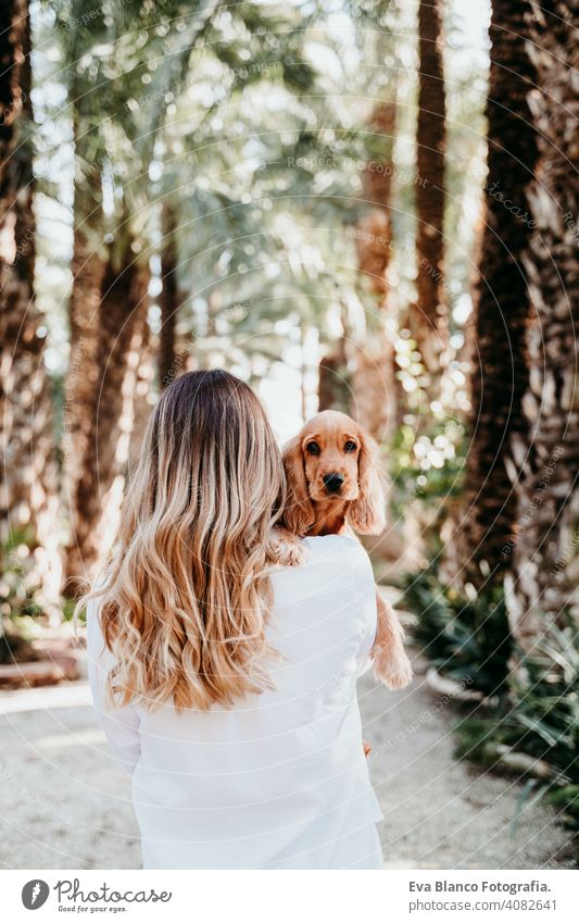 young woman and her cute puppy of cocker spaniel outdoors in a park dog pet sunny love hug smile back view kiss breed purebred beautiful blonde brown lifestyle