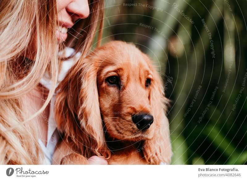 young woman and her cute puppy of cocker spaniel outdoors dog pet park sunny love hug smile back view kiss breed purebred beautiful blonde brown lifestyle