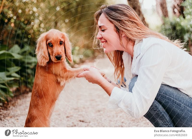 young woman and her cute puppy of cocker spaniel outdoors in a park paws high five dog pet sunny love hug smile kiss breed purebred beautiful blonde brown