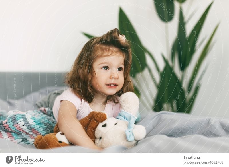Portrait of a charming little girl lying on a bed with her teddy bear happy blanket cute morning pyjamas under laughs bedroom childhood pillow bedtime home