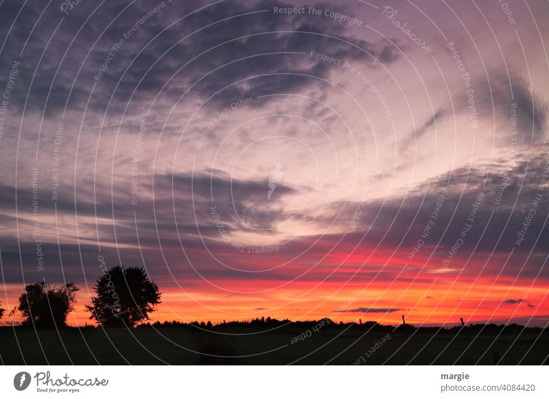 Sunset over fields and trees Clouds Tree Sky Dark Evening Nature Silhouette Light (Natural Phenomenon) Contrast Shadow Freedom Far-off places Multicoloured