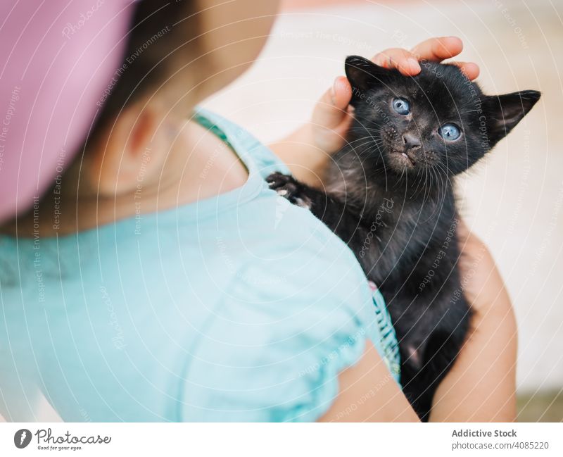 cute little girl holding a pussycat child pet petting animal kid young love person happy family small face people beautiful childhood kids friendship portrait