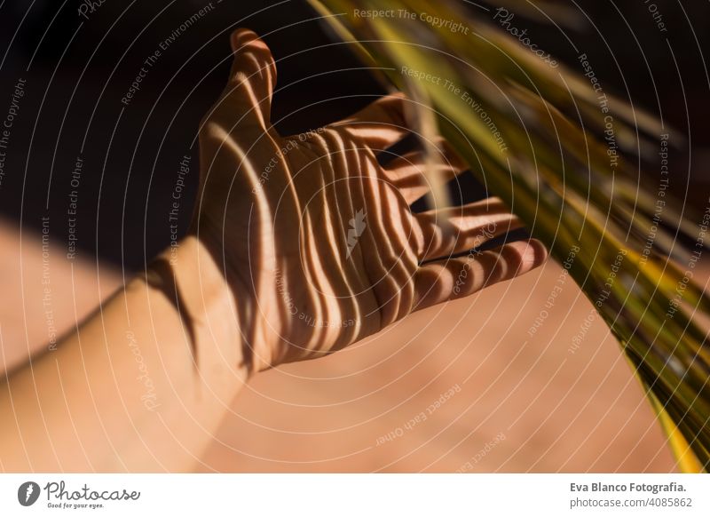 palm tree shadow over a hand of a woman. abstract concept nature leaves outdoor summer young woman hand sunny tropical island vacation plant beautiful travel