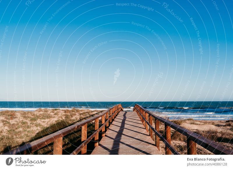 beautiful beach landscape at sunset. wooden bridge path. blue sky alone dune relax sea relaxation balance pathway north sea spring infinite force light mood