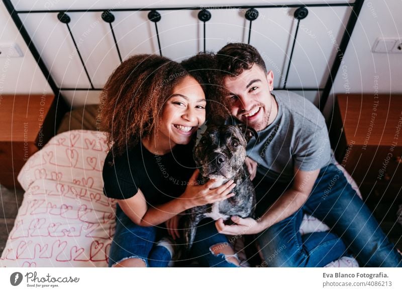 happy couple in love at home. Afro american woman, caucasian man and their pit bull dog together. Family concept afro american ethnic bed indoors valentine