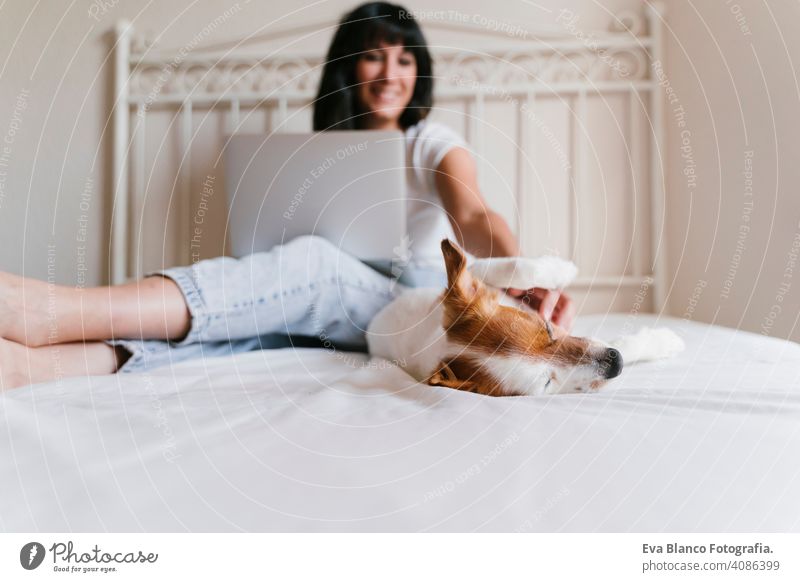 young caucasian woman on bed working on laptop. Cute small dog lying besides. Love for animals and technology concept. Lifestyle indoors jack russell home