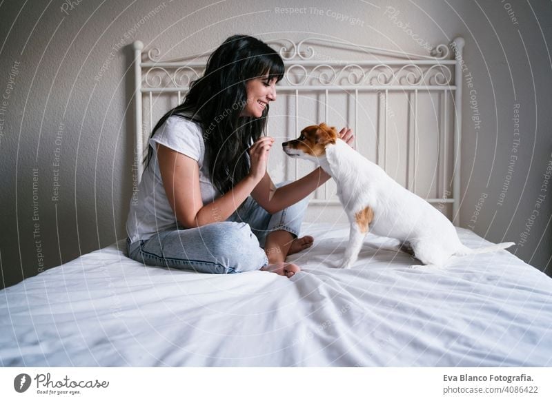 young caucasian woman on bed with her cute small dog playing and giving him treats. Love for animals concept. Lifestyle indoors girl fun love lovely family