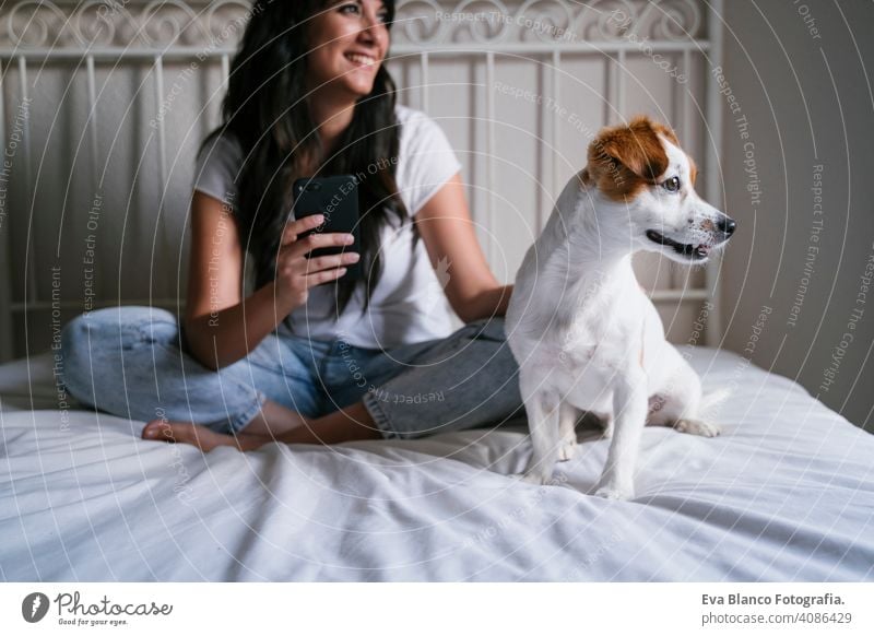 young caucasian woman on bed using mobile phone. Cute small dog lying besides. Love for animals and technology concept. Lifestyle indoors girl fun love lovely