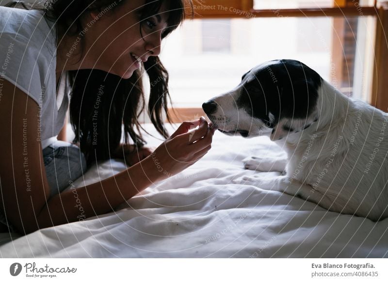 young caucasian woman on bed with her cute puppy dog playing and giving him treats. Love for animals concept. Lifestyle indoors girl fun love relax lovely