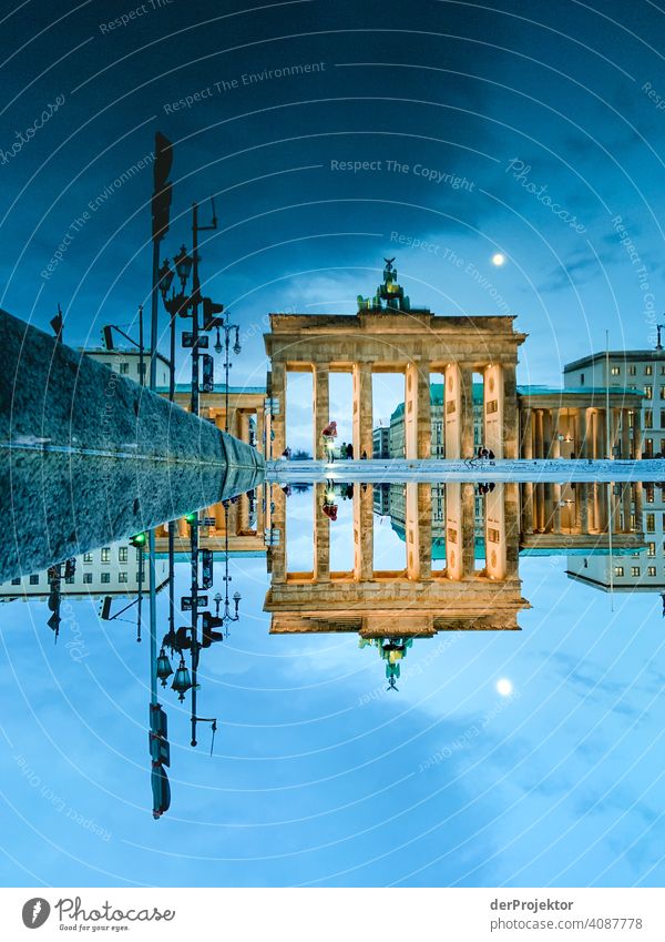 Brandenburger Tor in der Reflektion einer Pfütze VII Central perspective Reflection Shadow Copy Space top Twilight Artificial light Light Copy Space right