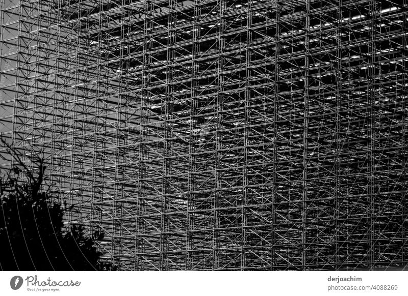 grid wall of a grandstand from behind with tree , in SW Mesh grid Exterior shot Deserted Structures and shapes Metal Grating Detail Fence Metalware cordon