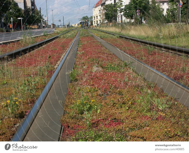 BerlinPrenzlauerBerg Railroad tracks Town Tram Far-off places Longing Vacation & Travel