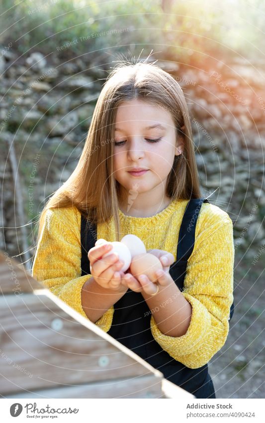Girl taking eggs from chicken nest girl farm raw fresh countryside help kid child chores household agriculture cute pretty fragile barn poultry season little