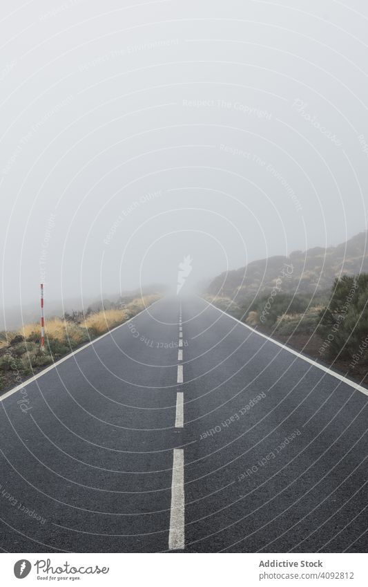 Empty road through woodland in overcast day woods mysterious empty calm solitude wet view surrounded peace tree dark foggy rainy weather spain way tenerife