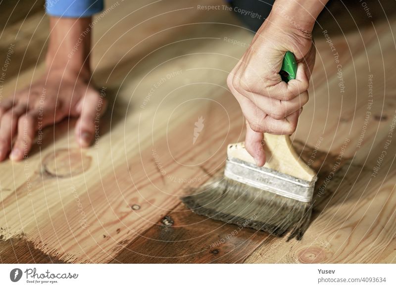 Graceful hand is holding a paintbrush. Varnishing the floor, apartment renovation. Housework, handyman, active lifestyle. Close-up. graceful caucasian