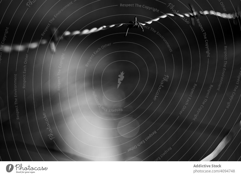 Tense barbed wire metal strain tense boundary security fence crime prison protection camp border war detention crisis razor exterior illegal cross deportation
