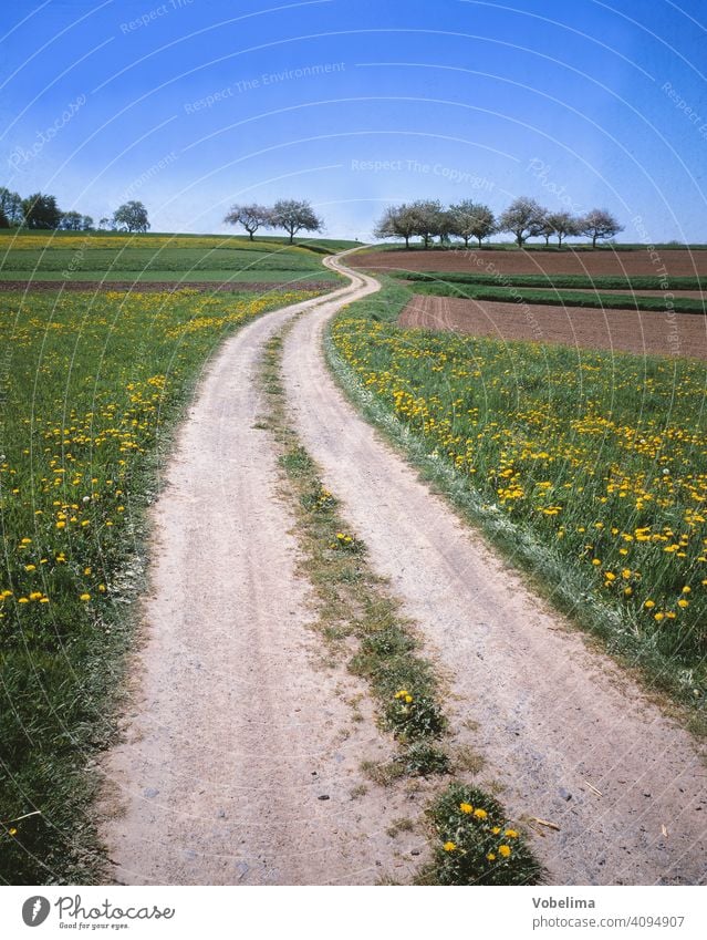 Field path in the Odenwald off Summer Country life Hesse acre fields off the beaten track Direction Line Curve trees Spring spring Landscape Germany Europe