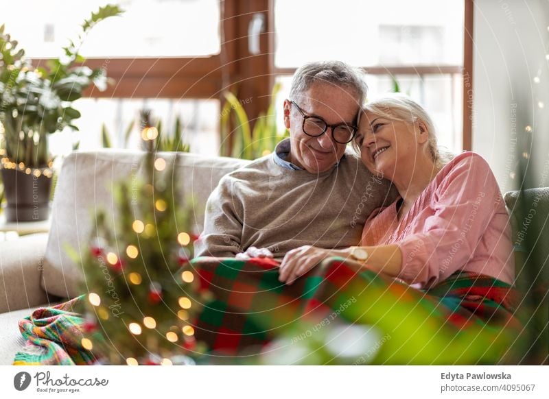 Senior couple sitting in the living room together during Christmas people woman adult senior mature casual attractive female smiling happy Caucasian toothy