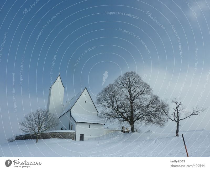 icy silence Winter Beautiful weather Ice Frost Snow Tree Village Deserted Church Church spire Freeze White Safety Protection To console Calm Belief Sadness