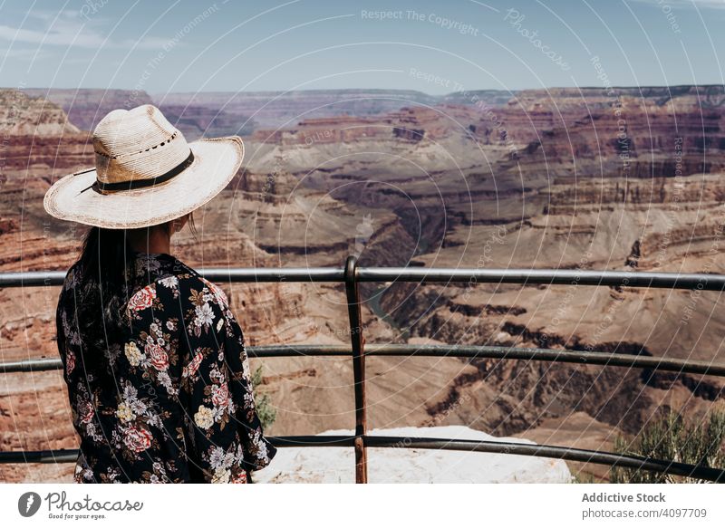 Tourist gazing while standing on edge of picturesque canyon tourist gaze cliff mountain range contemplating summer usa hot scenic greenery mist gorge young