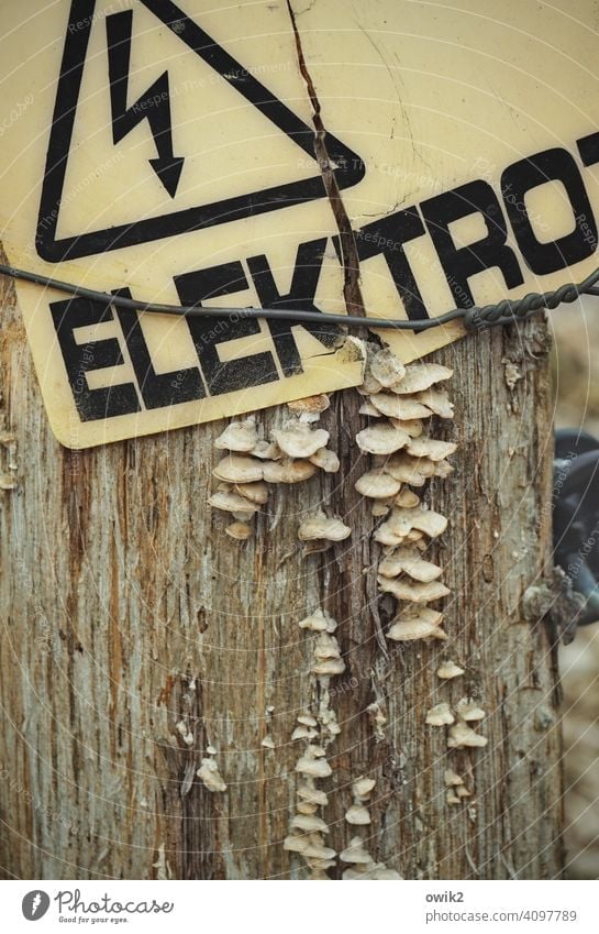 Charging Pole Electricity pylon Fence Electrified fence electrically charged sign Warning sign Caution Letters (alphabet) Warning label watch Do not touch
