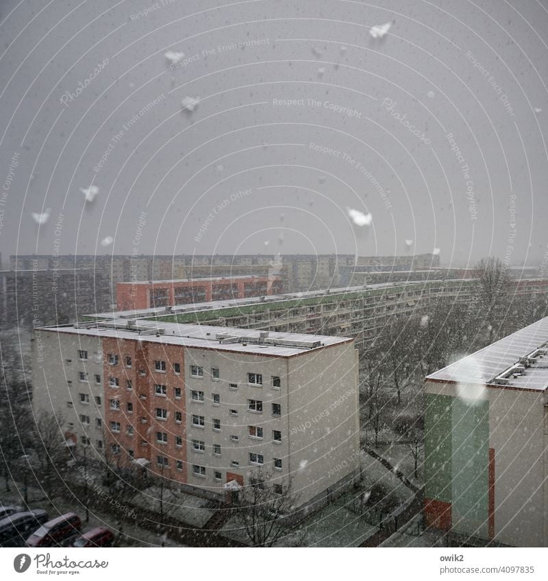 Late snow Panorama (View) Long shot Bird's-eye view Shallow depth of field motion blur Flash photo Evening Copy Space bottom Copy Space top Deserted