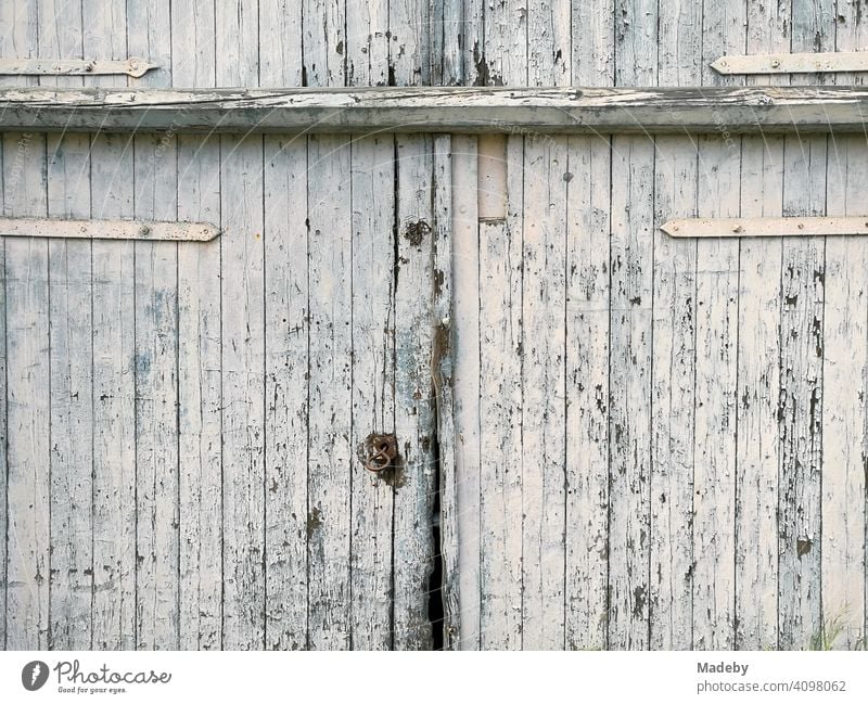 Beautiful large old barn door with peeling white paint in Lage near Detmold in East Westphalia-Lippe Farm farm Barn cheune Agriculture Goal Wooden gate