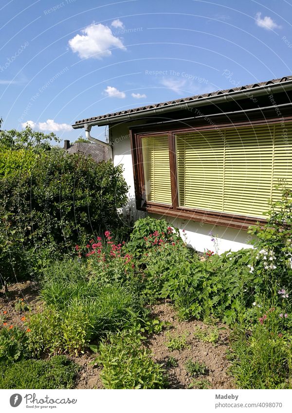Large flower window with blind in yellow of a residential house of the fifties with large green garden in the summer with sunshine in Wettenberg Krofdorf-Gleiberg near Giessen in Hessen