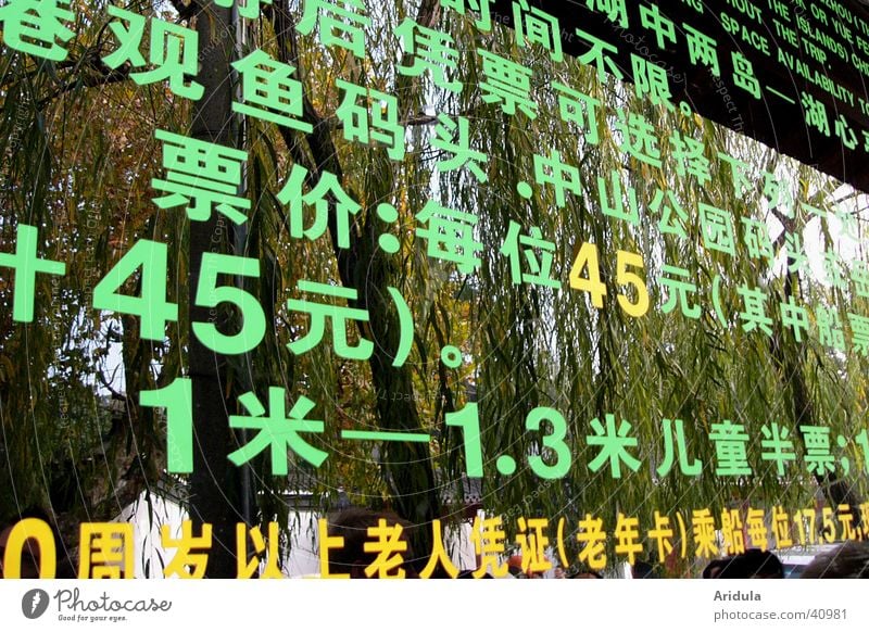 china_07 Price list Classification Reflection Green China Chinese Tree Typography Contrast Hangzhou Asia Digits and numbers Letters (alphabet) Characters Sign
