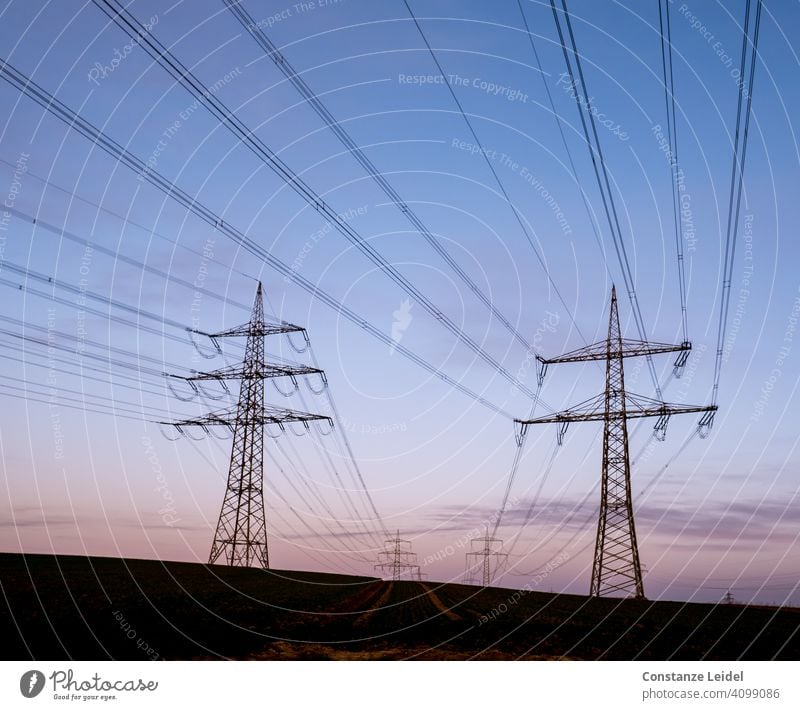 Power lines in the morning sky High voltage power line Dawn Blue sky blue hour Perspective Deserted Landscape Exterior shot Colour photo