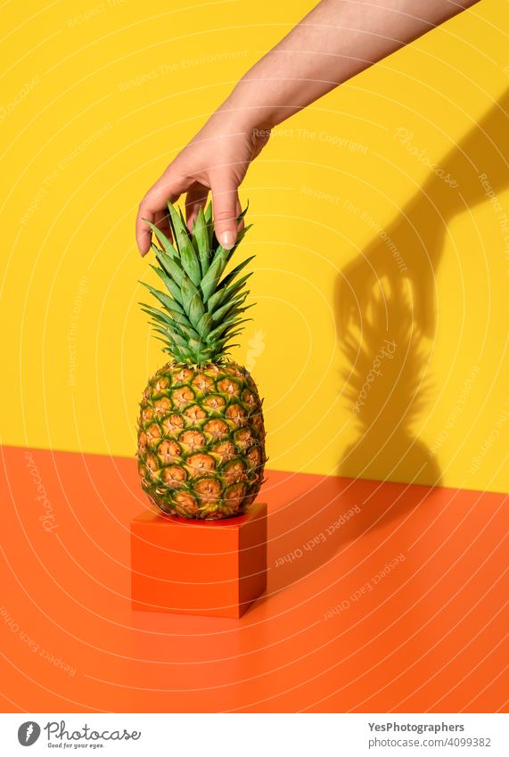 Pineapple minimalist in bright light. Woman hand grabbing the pineapple. ananas background colorful colors concept copy space creative cut out delicious dessert