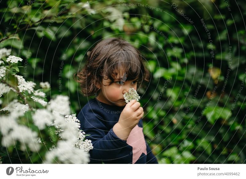 Cute girl smelling flower Girl 1 - 3 years Caucasian Flower Spring Spring fever Spring flower Curiosity explore Colour photo Exterior shot Child Nature Day