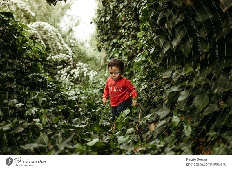 Child walking on foliage plants Green Foliage plant 1 - 3 years Caucasian Red Plant Toddler Colour photo Exterior shot Human being Infancy Nature Day explore