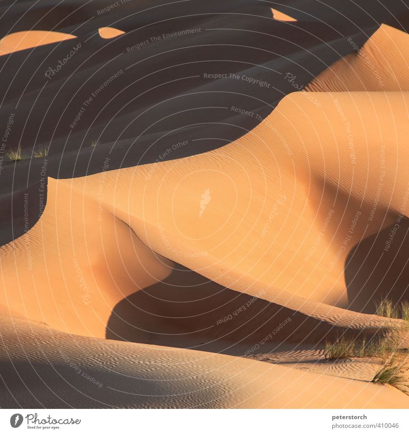 dunes Vacation & Travel Far-off places Waves Nature Landscape Sand Sun Warmth Drought Desert Esthetic Exceptional Exotic Round Calm Wanderlust Loneliness Dune