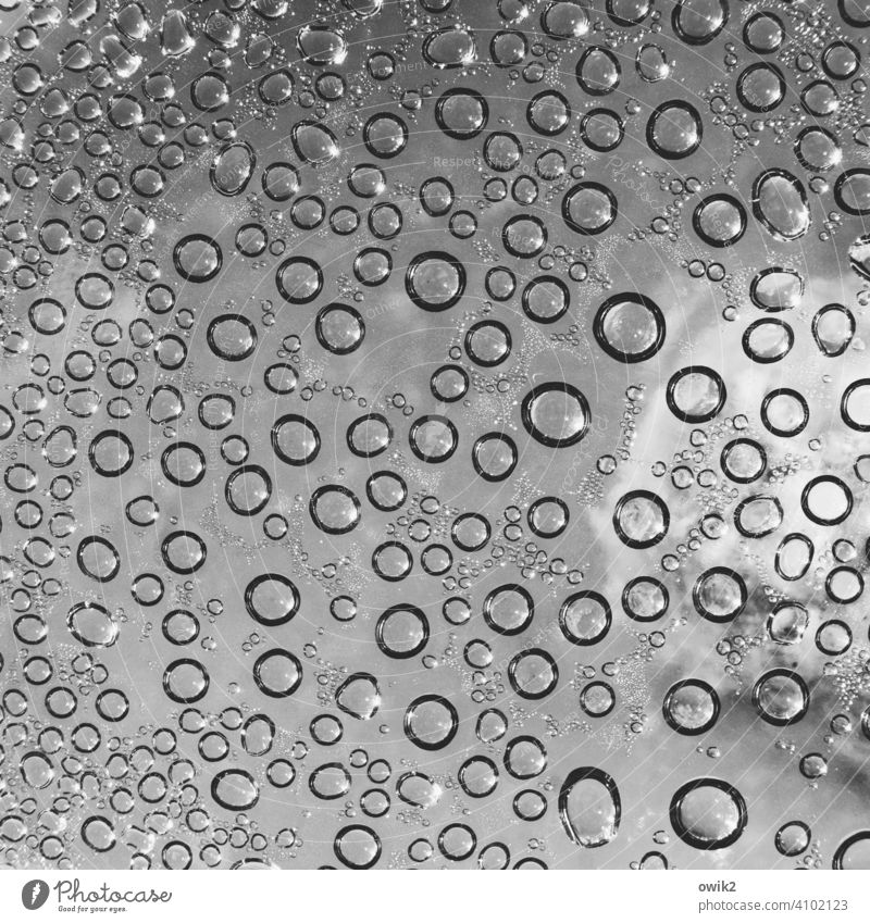 Rounded up Background picture Macro (Extreme close-up) Arrangement Drops of water Photomicrograph Detail Water Many Abstract Close-up Structures and shapes