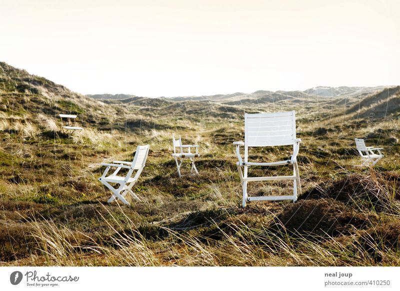 Seat in the dune Harmonious Well-being Relaxation Calm Vacation & Travel Freedom Summer vacation Landscape Dune Marram grass Denmark Chair Wood Esthetic