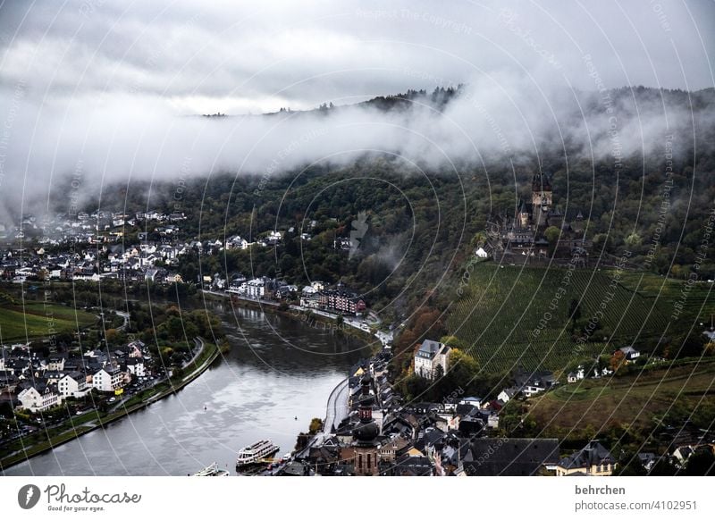 Wine Hiking Lanes & trails Hunsrück Moselle valley Wine growing Rhineland-Palatinate Mosel (wine-growing area) vine Vineyard Bunch of grapes Landscape Mountain