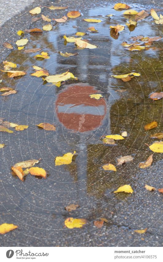 No entry sign reflected in puddle of autumn leaves Signs and labeling Road sign Verkerssicherheit Safety Prohibition sign interdiction Highway ramp (entrance)