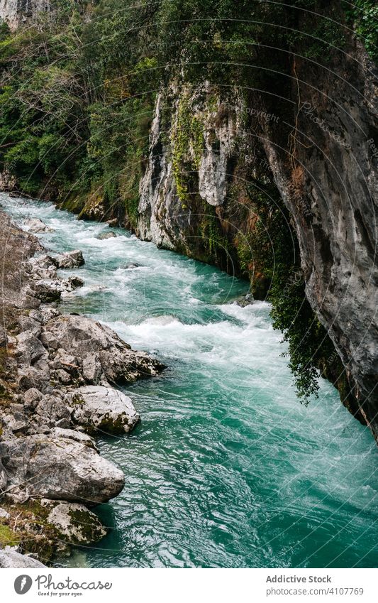 Water stream flowing among rocky peaks in bright day mountain river nature scenic landscape water scenery wilderness adventure hill travel green europe asturias