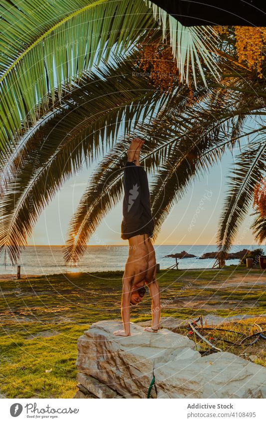 Faceless man practicing yoga at seaside on sunset posture flexible exercise seashore beach coast palm leaves tropical exotic male relax power asana focus