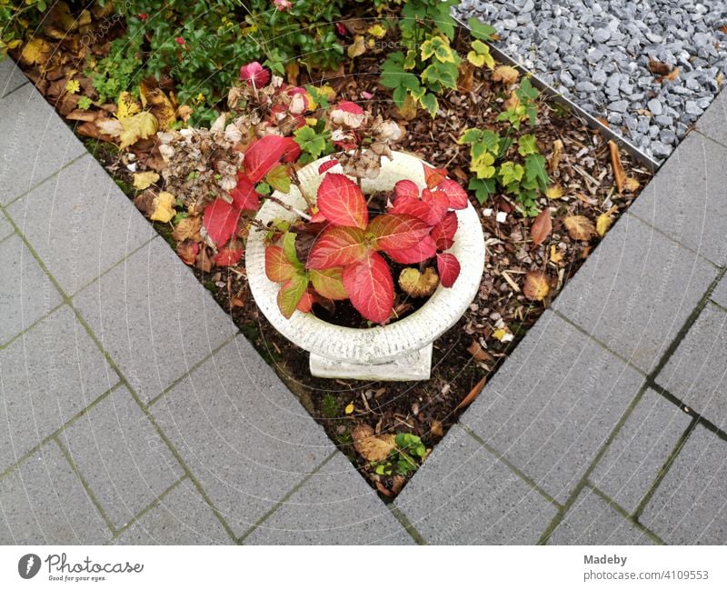 Kitschy plant bowl with red leaves in a front garden with grey paving stone and grey pebble in Oerlinghausen near Bielefeld at the Hermannsweg in the Teutoburg Forest in East Westphalia-Lippe
