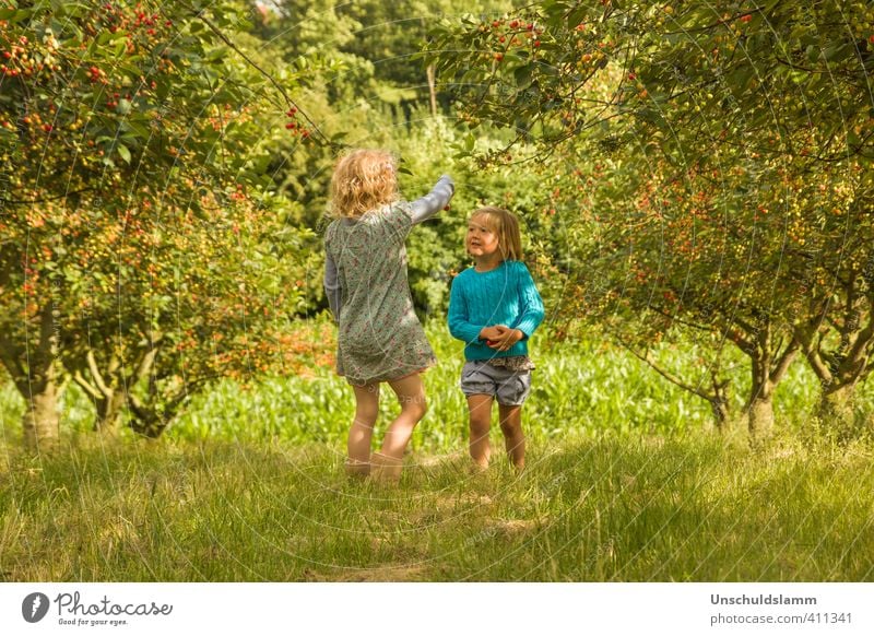 in Kirschwald Leisure and hobbies Playing Summer Garden Human being Girl Life 2 3 - 8 years Child Infancy Environment Nature Landscape Fruit trees Cherry tree