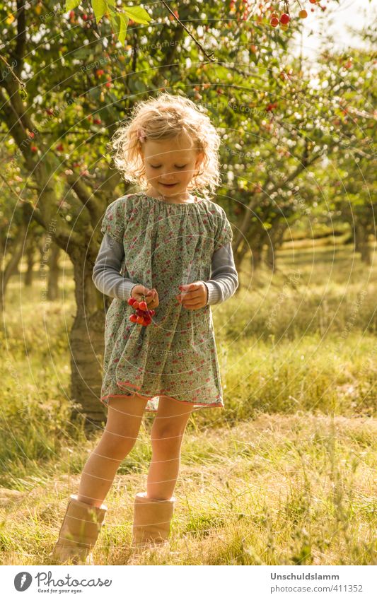 The cherry whisperer Fruit Cherry Nutrition Lifestyle Leisure and hobbies Playing Living or residing Garden Harvest Girl 1 Human being 3 - 8 years Child Infancy