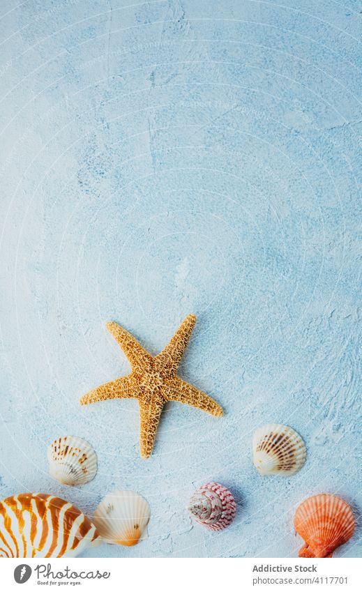 Decorative seashell dish Stock Photo - Alamy