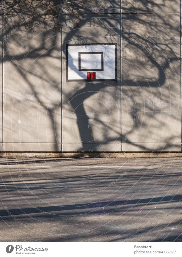 Shadow of a tree falls on a building wall with basketball hoop. Schoolyard in Vitoria, Basque Country, Spain Tree Spring Building Basketball Wall (building)